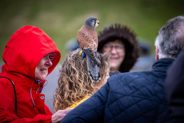 Families braved the cold on Tuesday (April 2) to take advantage of amazing free entertainment at Fort Nelson, with Easter egg hunts and falconry displays.