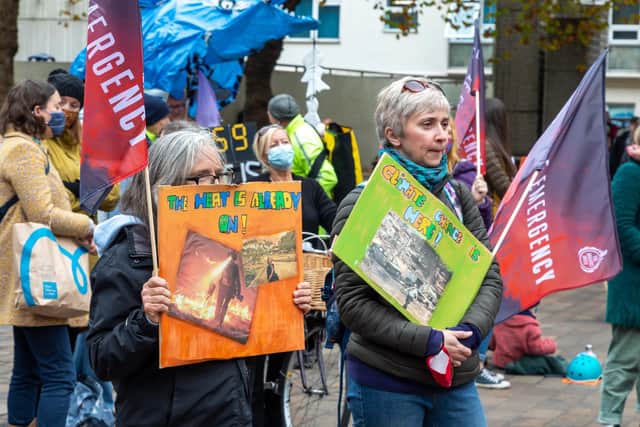 Placards at the COP26 demonstration. Picture: Mike Cooter (061121)