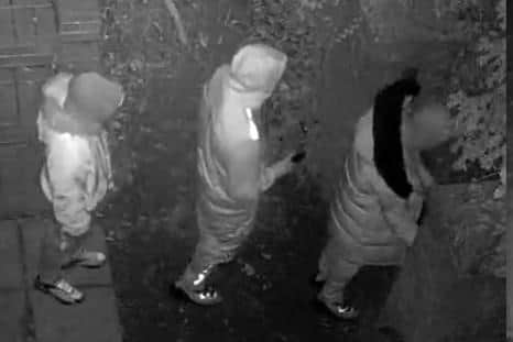 CCTV from attempted garage break-ins in the early hours of January 26, 2022 in Bishops Waltham and Hursley