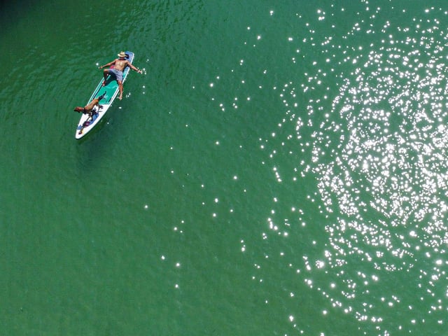 Pictured: Horatio the Dog and owner, Jason West on a paddle board