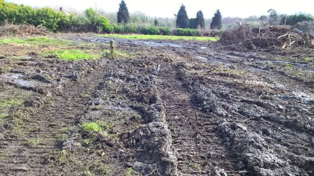 The aftermath after Knightsgate UK allowed the destruction of habitat of dormice whilst clearing land ready for development in Swanwick, Hampshire. The company allowed the land to be cleared by heavy machinery even though it received an environmental consultant's report which made it clear that protected species were onsite. Picture: CPS Wessex
