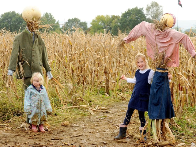 Pictured is: (l-r) Sisters Iris Woodford (2) and Erin Woodford (6) from Swanmore.
Picture: Sarah Standing (251023-2203)