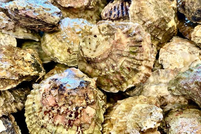The illegal catch was suspected to be oysters.