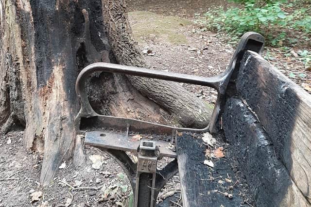 Damage to the three and bench. Picture: Havant police