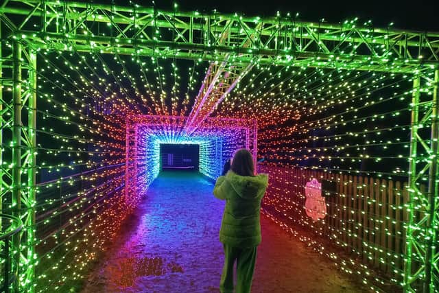 My daughter was obsessed with this tunnel