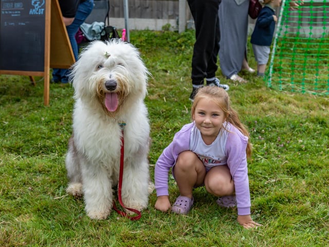 Jessie Bell, 4, next to Dash, a 10 month old Old English Sheepdog. Picture: Mike Cooter (210724)