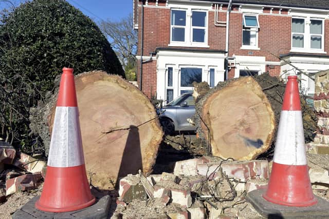 The remains of the fallen tree outside Park Wood Lodge care home on London Road, Waterlooville, on Tuesday, February 28.
Picture: Sarah Standing