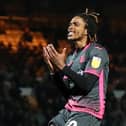 Rotherham boss Matt Taylor has ruled out a January swoop for Exeter striker Jevani Brown.