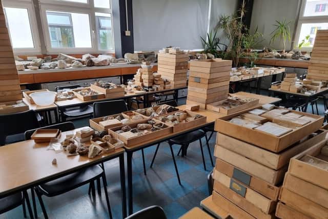 One of the palaeontology classrooms filled with items from the collection.