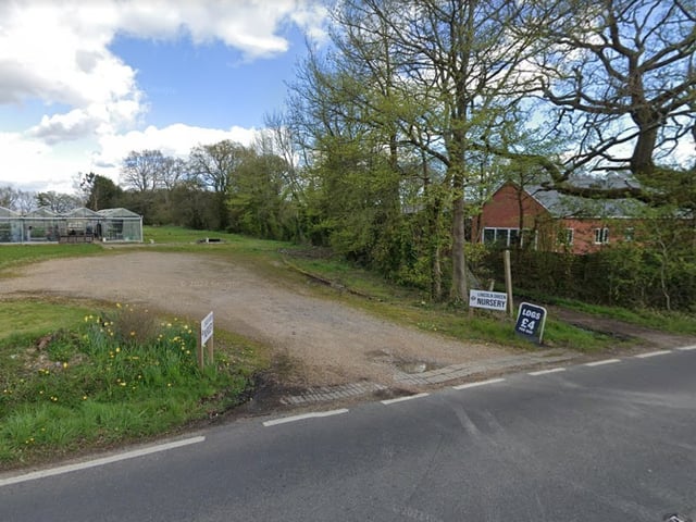Lincoln Green Nursery, Denmead, has a Google rating of 4.8 with 17 reviews.
