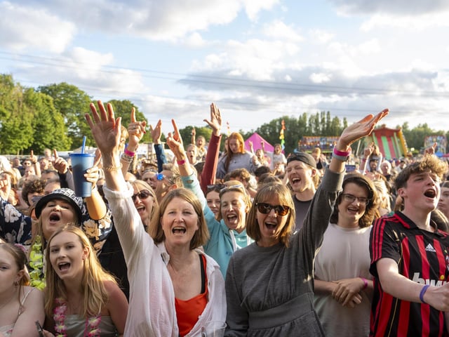 Festival Goers at Swanfest 2024