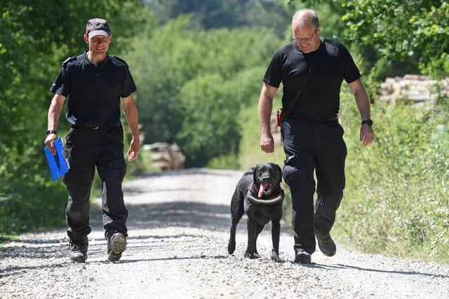 Hampshire Fire investigation search dog and handler assist police with their investigation at the scene of Havant Thicket where the body of Louise Smith was found. Picture: Simon Czapp/Solent News & Photo Agency