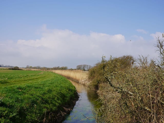 Pagham Rife