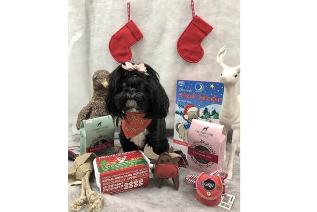 Mary Puppins Pet Pantry, in Emsworth High Street, is collecting donations for the Mount Noddy RSPCA centre. Pictured: Shop dog Esme, who came from the RSPCA, with some Christmas bits