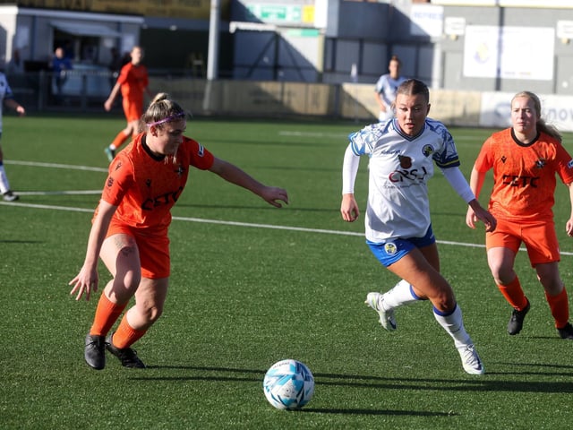 Hawks v Gosport Falcons. Picture: Sam Stephenson.