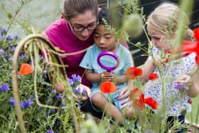 Tops Nursery, which is based in Portsmouth, has scooped a Queen's Award