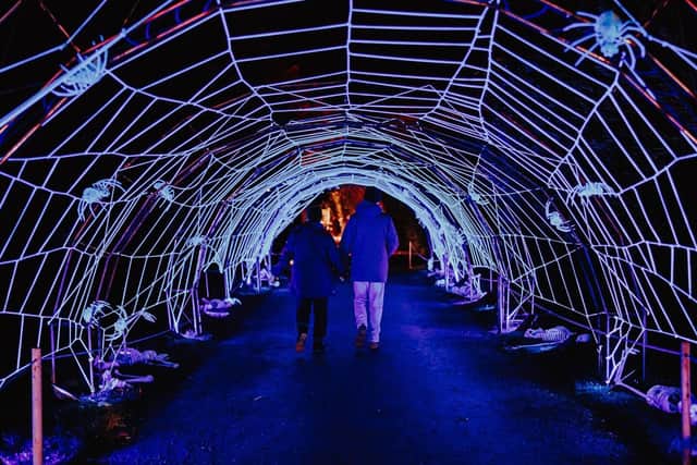 Spider Tunnel