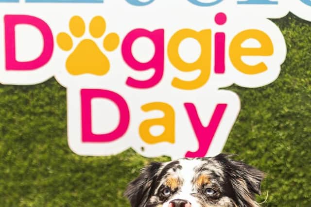 This year's Doggie Day saw 50 lucky winners take home rosettes and tasty rewards.