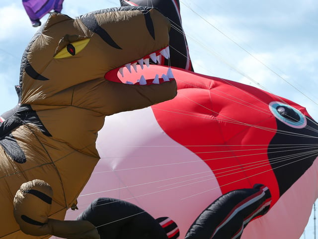Is it a bird? Is it plane? No, it's a dinosaur kite.Picture: Chris  Moorhouse (270724-19)