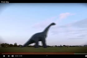 Mark Rose has shared the video he made for his wedding, Find Aby, in which he is chased by Luna Park across the common. Pictured: A screen grab of the video