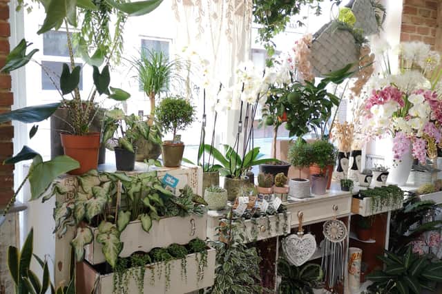 Blossom Boutique has oepned in Palmerston Road, Southsea