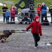 Pictured is Oscar Campbell, 8, being chased by a bird.
Picture: Sam Stephenson.