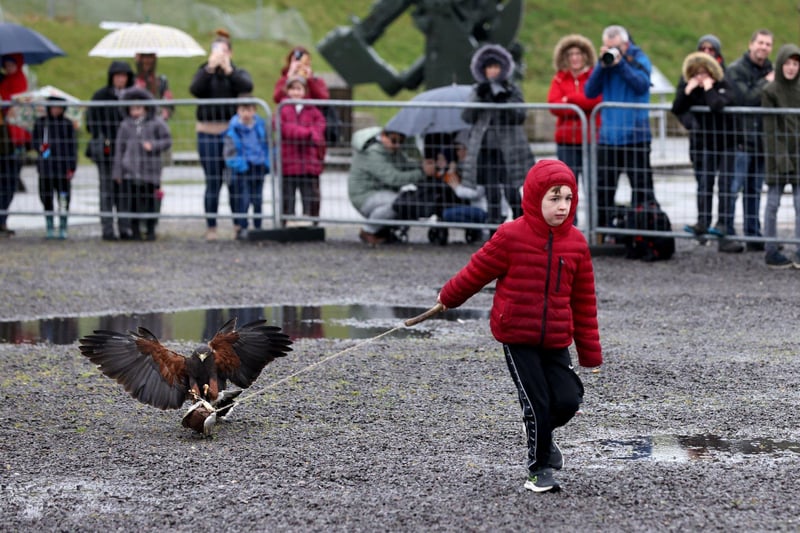 Pictured is Oscar Campbell, 8, being chased by a bird.
Picture: Sam Stephenson.