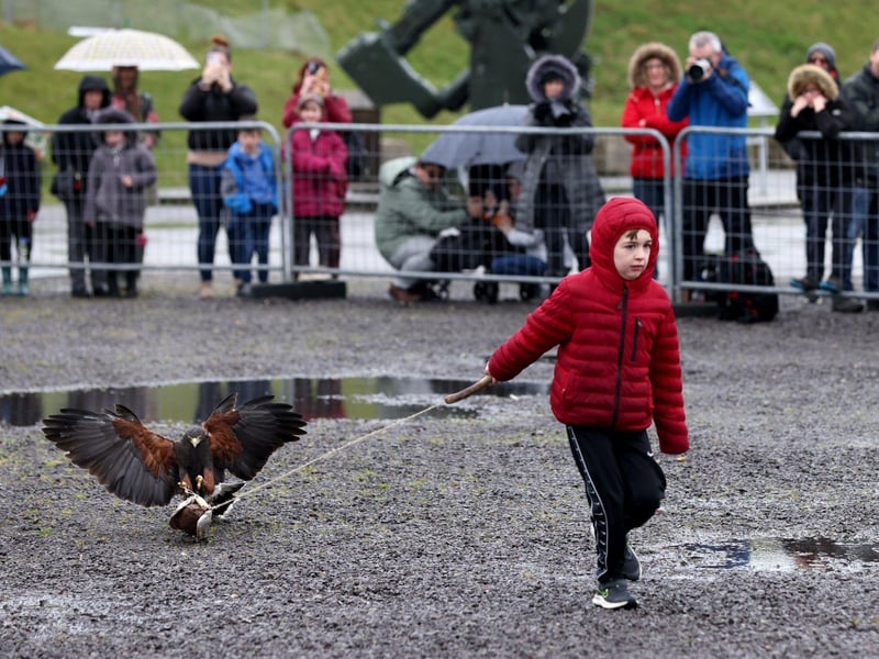 Pictured is Oscar Campbell, 8, being chased by a bird.
Picture: Sam Stephenson.