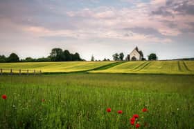 Much of the East Hampshire district, such as the area around Idsworth, is in the South Downs National Park Picture: Jamie Fielding/Courtesy of South Downs National Park Authority