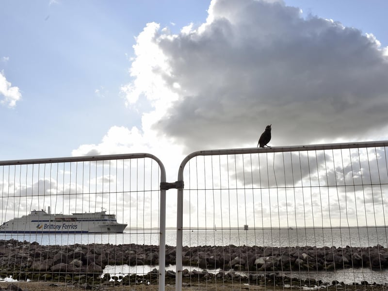 Southsea seafront pictured in October 2024 before the coastal scheme work started. The boulders which were temporarily kept in front of the beach are all now in their correct position.
Picture: Sarah Standing (101024-3225)