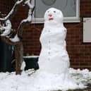 Nothing fancy - Blaise just wants to make a snowman this year