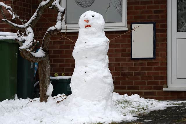 Nothing fancy - Blaise just wants to make a snowman this year