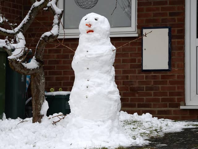 Nothing fancy - Blaise just wants to make a snowman this year