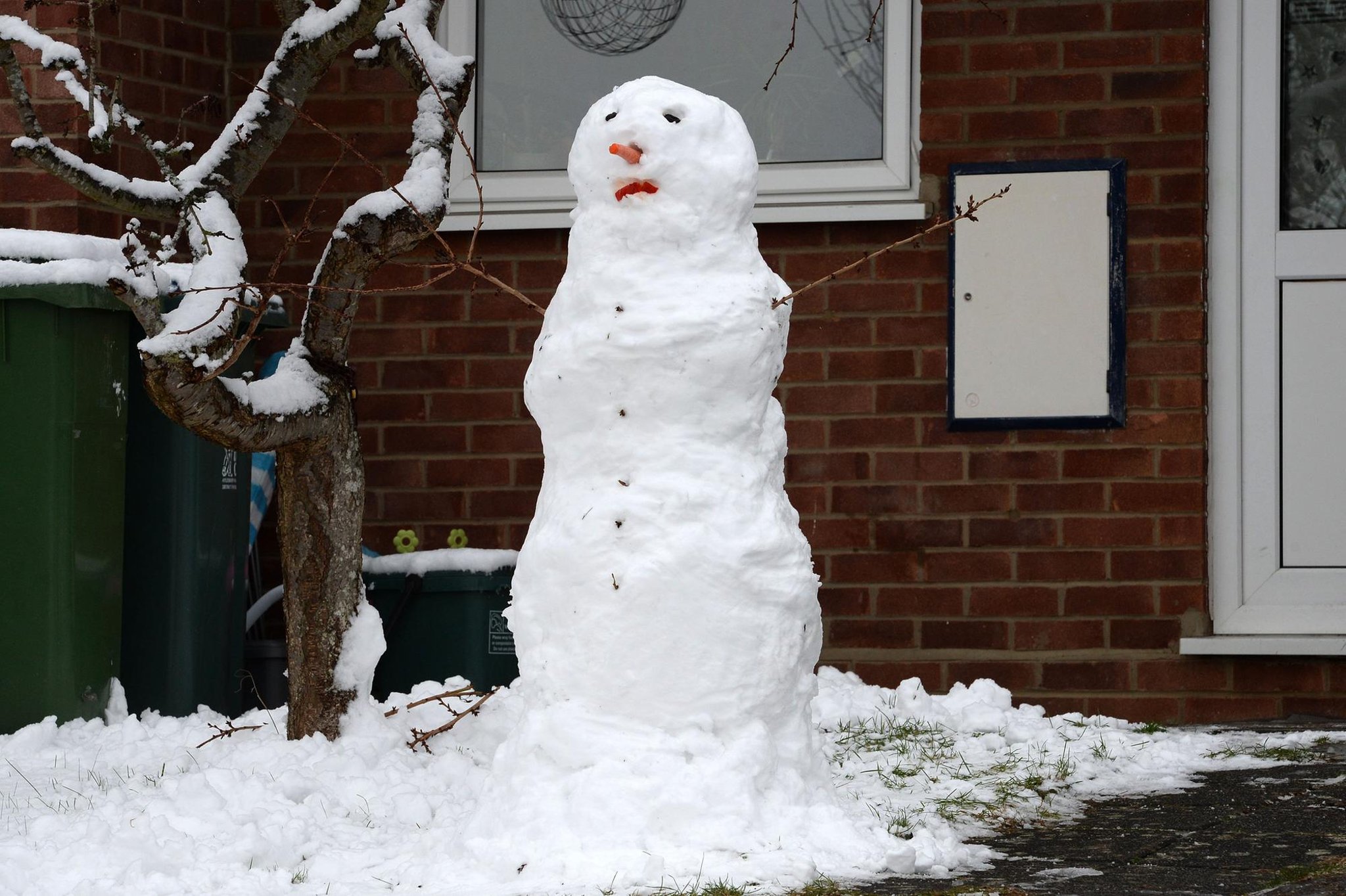 2021 Snowy 2021 Snowy