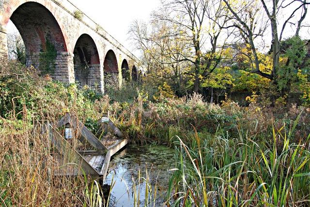 Among the many nature reserves in Mansfield is this one at Quarry Lane, within a stone's throw of Stags' stadium. The site has many historical features, particularly Drury's dam viaduct, built in the 1870s, and the remains of a cotton mill building that was once the third largest in Europe. The River Maun meanders through, entering Field Mill Pond, which attracts a wide variety of birds and a thriving population of water voles. Grassland and mature woodland add to a fascinating place to visit.