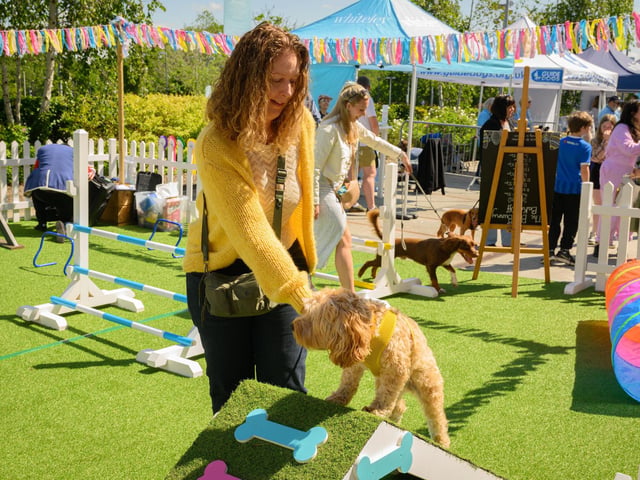 Julie Dunbar with her dog, Honey.Picture: Keith Woodland (250521-31)