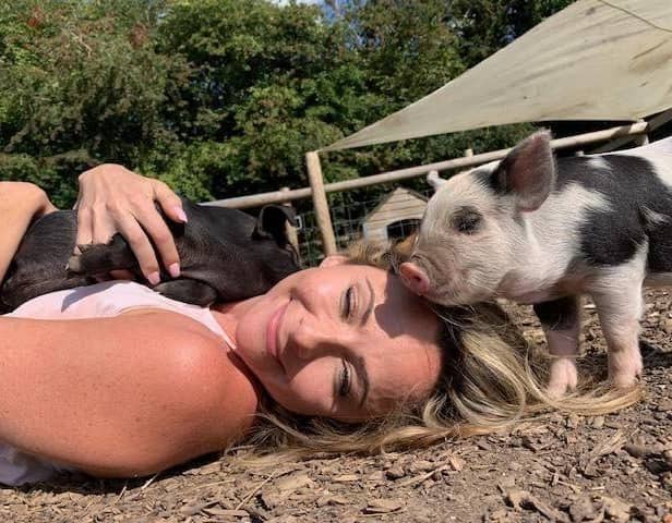 Adults can also benefit from spending time with animals - Animal News Agency