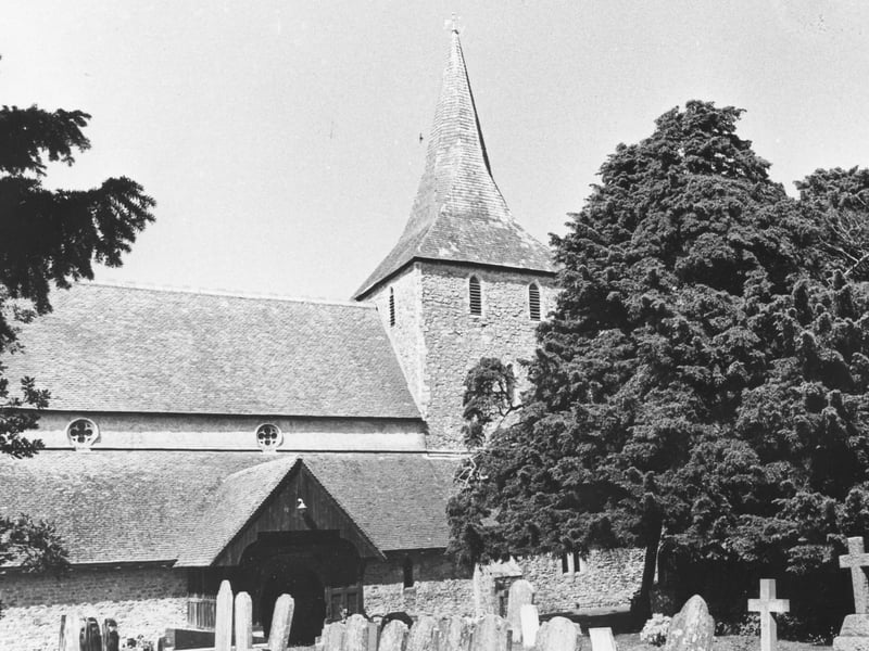 1000 year old yew tree measuring 30 feet around the trunk, St Mary's parish church, St Mary's Road, Hayling in 1987. The News PP4854