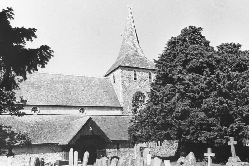 1000 year old yew tree measuring 30 feet around the trunk, St Mary's parish church, St Mary's Road, Hayling in 1987. The News PP4854