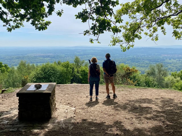View from Blackdown