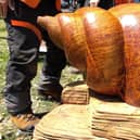 A series of hand-carved wooden sculptures made from storm-damaged trees are being placed at Canoe Lake in Portsmouth. Credit: Councillor John Smith