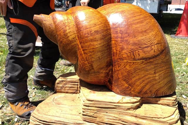 A series of hand-carved wooden sculptures made from storm-damaged trees are being placed at Canoe Lake in Portsmouth. Credit: Councillor John Smith