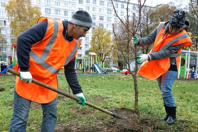 Thousands more trees could be planted in Portsmouth in a bid to reduce pollution and improve quality of life.