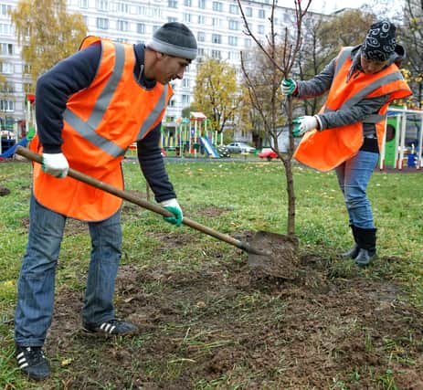 Thousands more trees could be planted in Portsmouth in a bid to reduce pollution and improve quality of life.