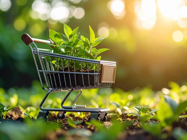 Buying ethical goods (photo: adobe)