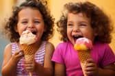 Ice cream delights in the hot weather so why not make your own