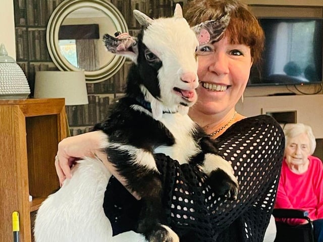 Denmead Grange care home residents had some unusual visitors as they were greeted by pygmy goats from Em’s Friendly Farm.