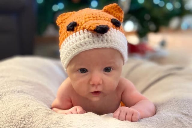 Seven-week-old Albie. Picture: Jen Fox