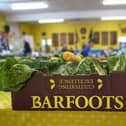 Barfoots of Botley are one of the leading growers of fresh produce in the South of England