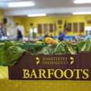 Barfoots of Botley are one of the leading growers of fresh produce in the South of England